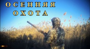 ОСЕННЯЯ ОХОТА на УТКУ в АСТРАХАНИ:  Неожиданная встреча с ВОЛКОМ.
