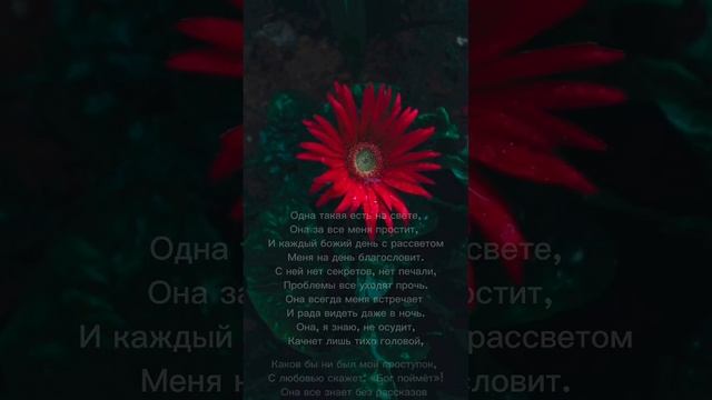 ПРИЗНАНИЕ МАМЕ || ПРЕКРАСНЫЙ СТИХ ||