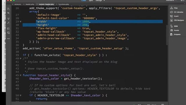 12 Setting Custom Header File and Allowing SVG Images смотреть онлайн