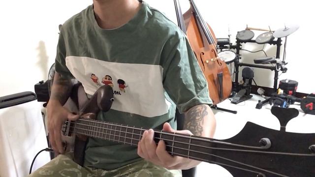 Primus - Here come the bastards Bass Cover смотреть онлайн