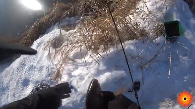 Караси на ультралайт. Прогулка вдоль реки смотреть онлайн