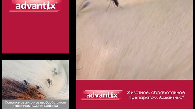 Репелленты против комаров смотреть онлайн