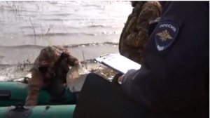 85 лет на страже экономической безопасности страны