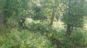 Тестдрайв Husqvarna te250