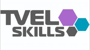 27.04.2023 Дивизиональный чемпионат TVELskills 2023