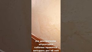 Эрсаг. Как удалить и вывести пятна, очистить что угодно. Удаляю пятна со стен