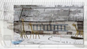 Кучугуры Воронежская область. Зима 2018 года. Василина Горожанкина - Дороженька