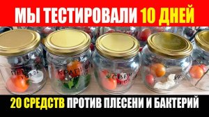 Прошло 10 дней. Тест 20 средств против плесени и бактерий. Помидоры на зиму