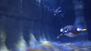 Fish or Not Fish: Is That Aquatic Animal a Fish? - FreeSchool