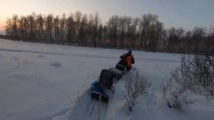 На лыжах за мотособакой.?