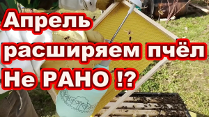 Весенние расширение гнезда пчёл до полного корпуса НЕ РАНО ? конец апреля , ульи ППС пчела карника