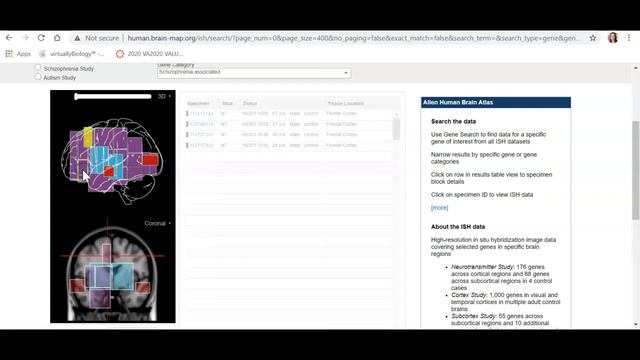 Allen Brain Atlas data exploration