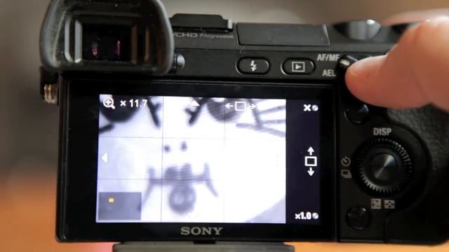 Probando el Focus Peaking de la Sony NEX-7 смотреть онлайн