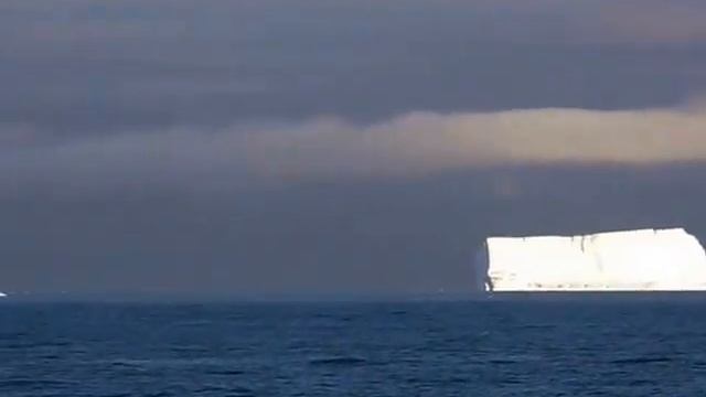 Пингвины на льдине смотреть онлайн