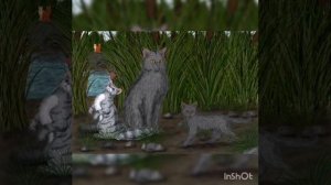 Коты воители. История Крутобока