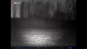 Сравнительный тест цифрового прицела PULSAR со штатной ИК подсветкой и ИК подсветкой китайской ПНВ.