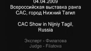 04.04.2009 Всероссийская выставка собак ранга САС, город Ниж