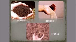 Биология 6 класс Состав почвы