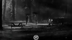 Бонсай - Она