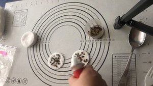 Гибискус из семян в домашних условиях