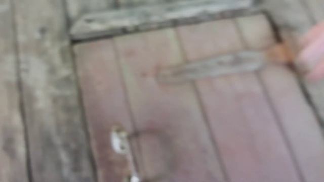 Мотоленд Форестер 200. Сгонял в Маклок на черепашье озеро. смотреть онлайн