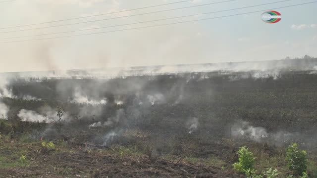 Пожар в окресностях Харцызска