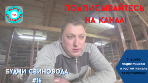 Что же у нас с зерном? Осень 2021 год