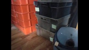 Какое нужно помещение, чтобы начать разводить червя/Разведение червя дендробена