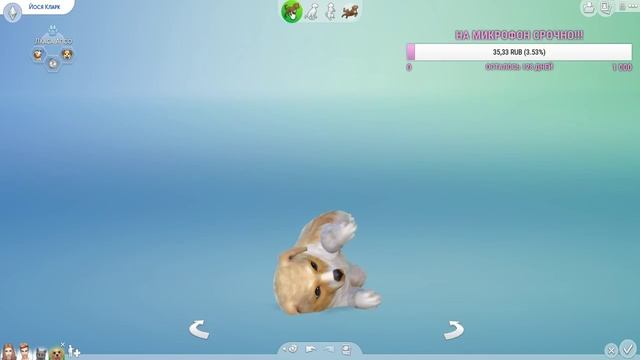 SIMS 4: кошки и собаки, смотрим на дополнение смотреть онлайн