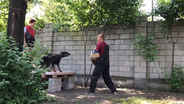 Ванесса, защита, 7.06.2020 смотреть онлайн