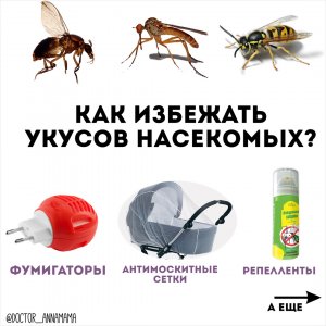 Меня укусили...Как избежать осложнений укусов насекомых