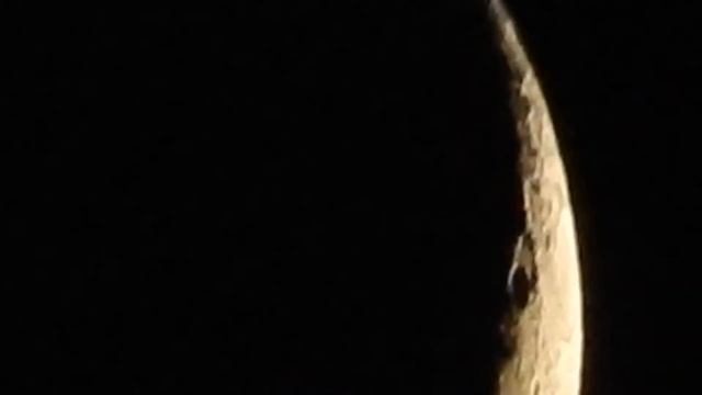 Фото охота с помощью фотоаппарата Nikon Coolpix P610 4