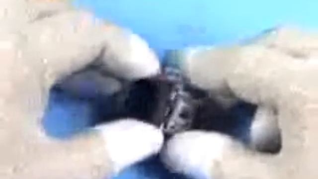 Сбор Nokia N93i Низ, 2 смотреть онлайн