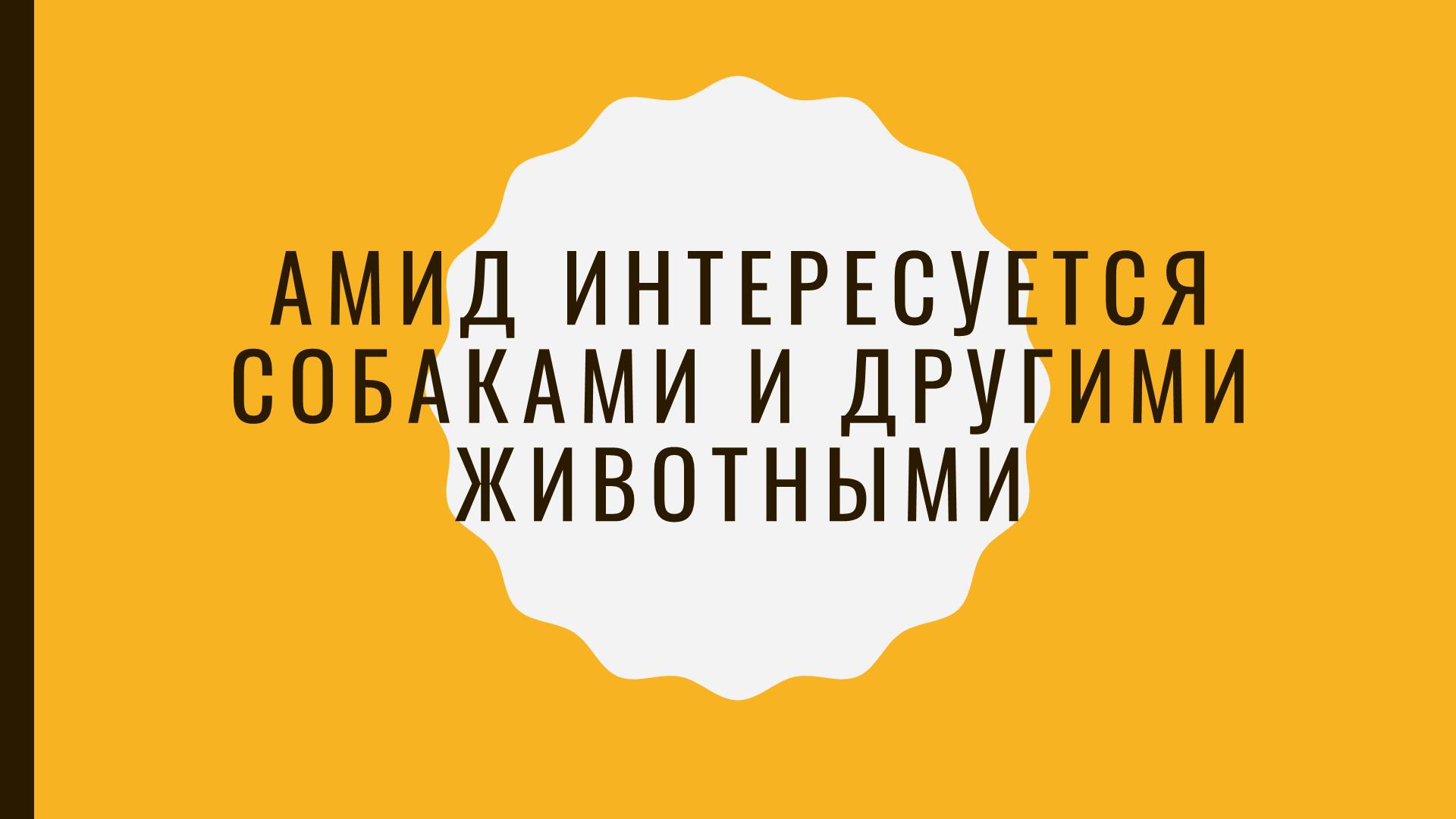 Амид интересуется собаками и другими животными у Аркадия Орлова