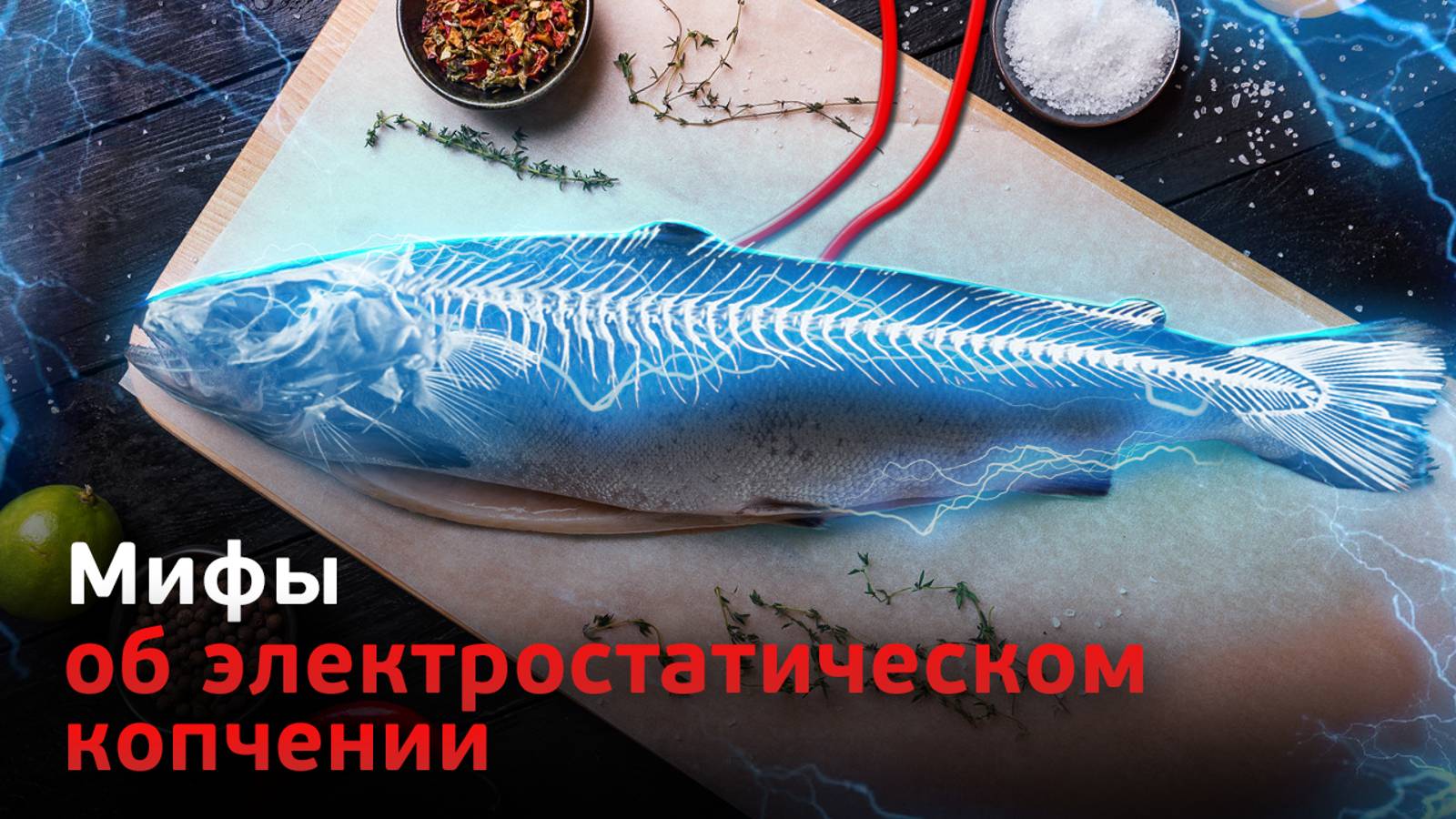 Электростатическое копчение. Шок или технология? Мифы и факты.