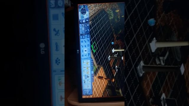 Симс 3 как назавём 2-х котят? мальчик и девочка смотреть онлайн