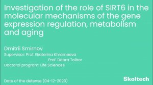 Joint PhD Thesis Defense with Ben-Gurion University of the Negev, Israel. Dmitrii Smirnov