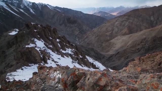 КАК ГОРНЫЕ КОЗЛЫ ЛАЗЯТ ПО СТЕНАМ смотреть онлайн