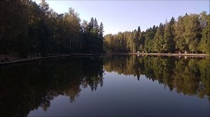 Утренний обзор с нижнего водоёма. Клёвое место, Лосиный остров.