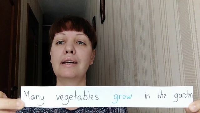 The turnip смотреть онлайн