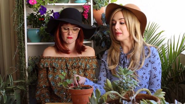Adventure Updates II Botanical Baes II Crazy Plant Ladies