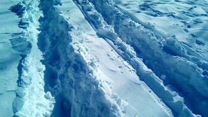 т 40 без пвм по снегу