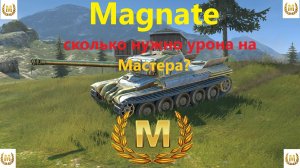 Сколько урона нужно на Мастера? Tanks Blitz - Мастер на Magnate  Невероятное везение)