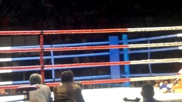 Красноярск дв. ЯРЫГИНА  бой Екатерины белорусия и