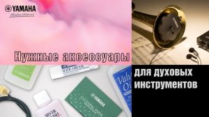 Аксессуары для духовых инструментов и важность их применения