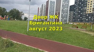 Двор ЖК Бригантина август 2023