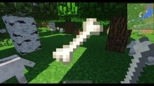 Minecraft | Гайд по приручению волка