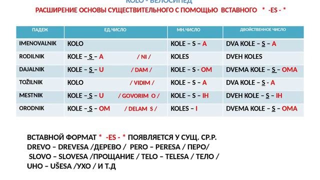 Урок 5. Словенский язык. Основы грамматики / текстовой материал /