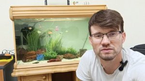 деревянный аквариум