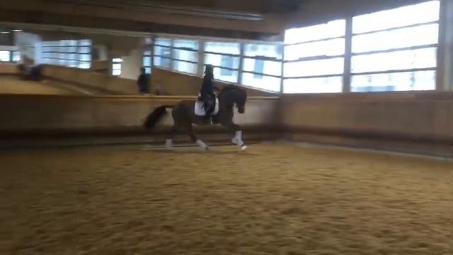 Bondi Beach training Jan 2017 смотреть онлайн